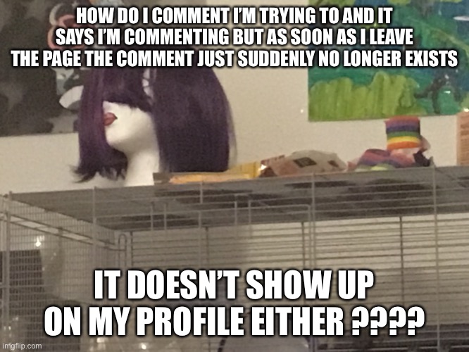 HOW DO I COMMENT I’M TRYING TO AND IT SAYS I’M COMMENTING BUT AS SOON AS I LEAVE THE PAGE THE COMMENT JUST SUDDENLY NO LONGER EXISTS; IT DOESN’T SHOW UP ON MY PROFILE EITHER ???? | made w/ Imgflip meme maker