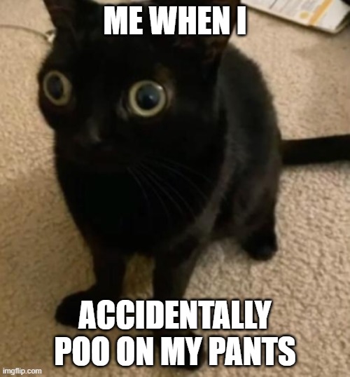 big eye cat | ME WHEN I; ACCIDENTALLY POO ON MY PANTS | image tagged in big eye cat | made w/ Imgflip meme maker