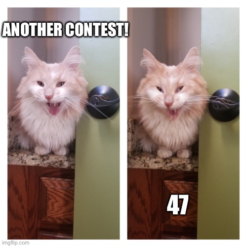 ANOTHER CONTEST! 47 | made w/ Imgflip meme maker