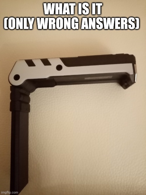 WHAT IS IT (ONLY WRONG ANSWERS) | made w/ Imgflip meme maker