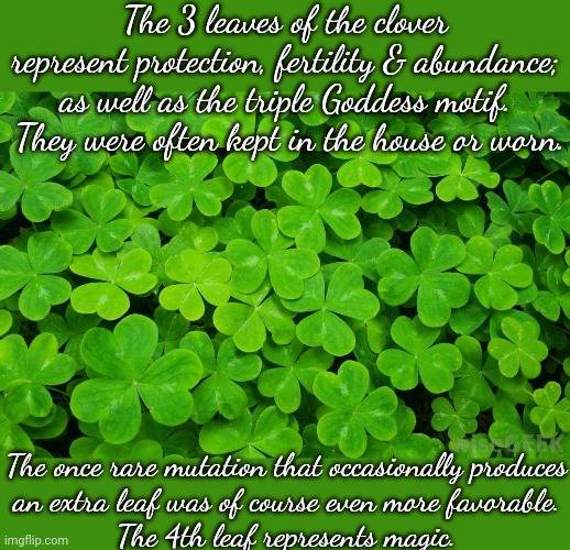 These beliefs are widespread; shamrock is an Arabic word. | The 3 leaves of the clover represent protection, fertility & abundance; as well as the triple Goddess motif.  They were often kept in the house or worn. The once rare mutation that occasionally produces
an extra leaf was of course even more favorable.
The 4th leaf represents magic. | image tagged in clover,saint patrick's day,pagan,tradition | made w/ Imgflip meme maker