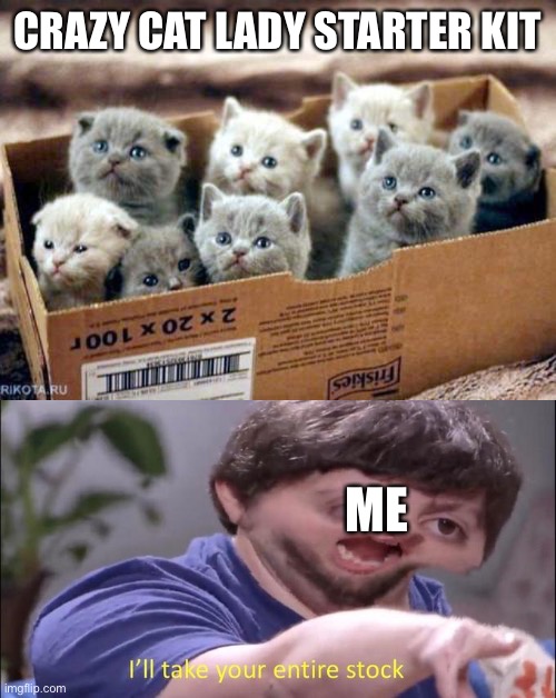 That’s exactly what I want to be when I grow up | CRAZY CAT LADY STARTER KIT; ME | image tagged in box of cats,i'll take your entire stock | made w/ Imgflip meme maker