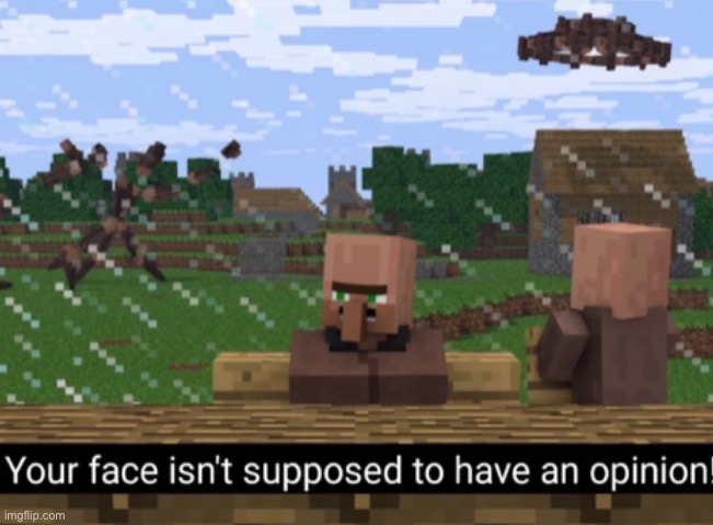 Your face isn’t supposed to have an opinion | image tagged in your face isn t supposed to have an opinion | made w/ Imgflip meme maker