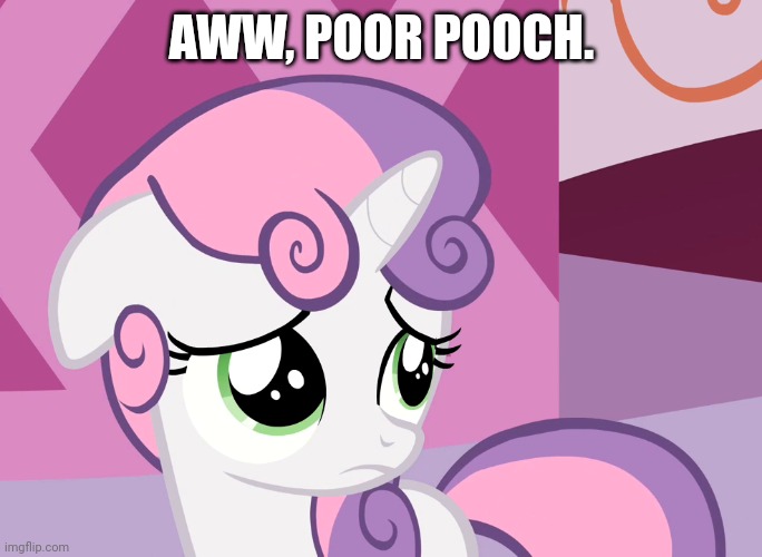 Sad Sweetie Belle (MLP) | AWW, POOR POOCH. | image tagged in sad sweetie belle mlp | made w/ Imgflip meme maker