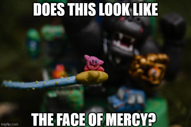 DOES THIS LOOK LIKE; THE FACE OF MERCY? | made w/ Imgflip meme maker