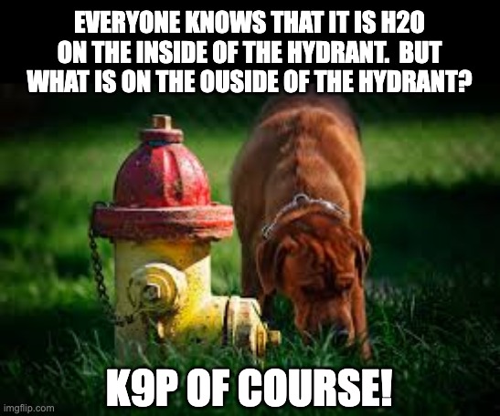 Hydrant | EVERYONE KNOWS THAT IT IS H2O ON THE INSIDE OF THE HYDRANT.  BUT WHAT IS ON THE OUSIDE OF THE HYDRANT? K9P OF COURSE! | image tagged in bad pun dog | made w/ Imgflip meme maker