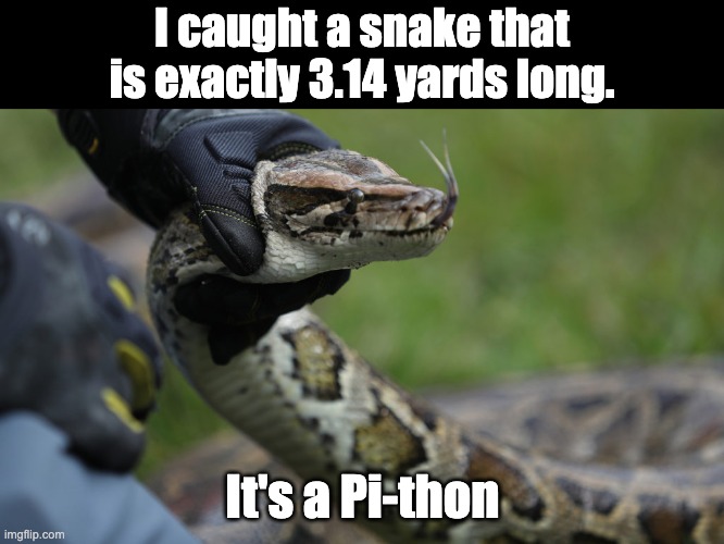 Pi | I caught a snake that is exactly 3.14 yards long. It's a Pi-thon | made w/ Imgflip meme maker