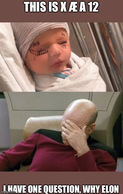 Bruh | THIS IS X Æ A 12; I HAVE ONE QUESTION, WHY ELON | image tagged in memes,captain picard facepalm,elon musk | made w/ Imgflip meme maker