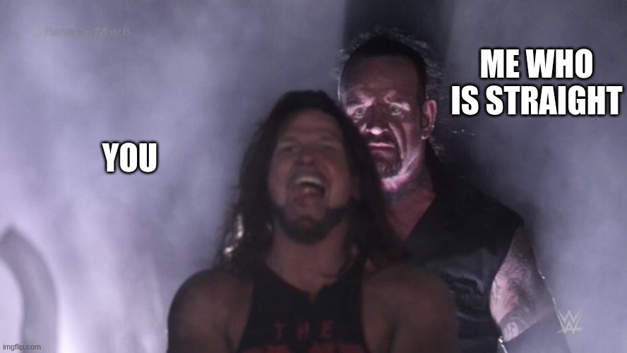 AJ Styles & Undertaker | YOU ME WHO IS STRAIGHT | image tagged in aj styles undertaker | made w/ Imgflip meme maker