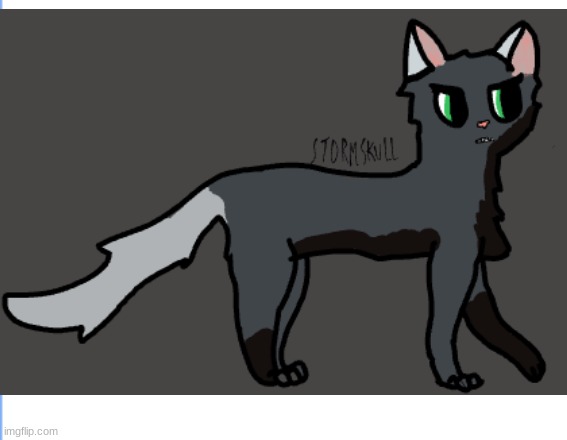 Stormskull_warrior cat | made w/ Imgflip meme maker