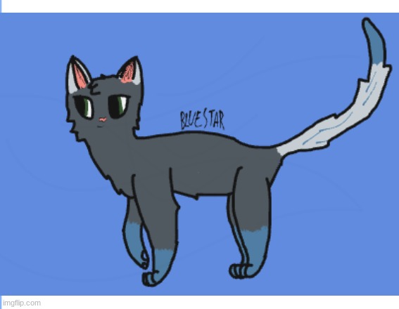 Bluetail/star_warriorcar_my first oc | image tagged in cats | made w/ Imgflip meme maker