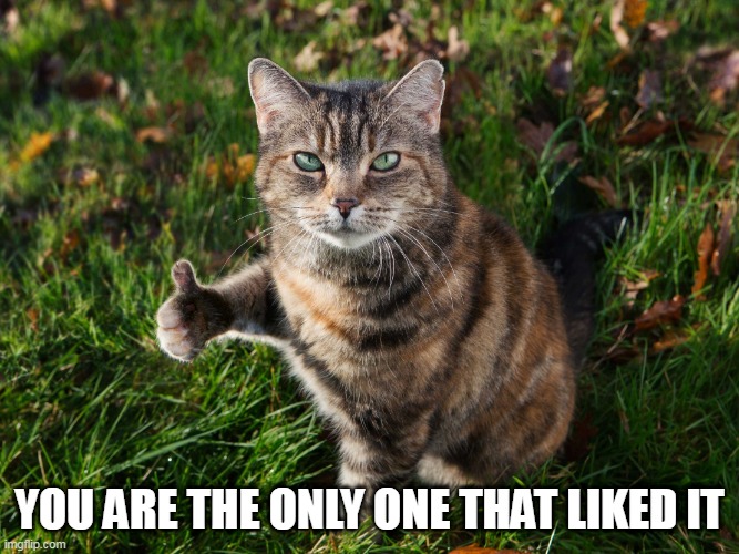 THUMBS UP CAT | YOU ARE THE ONLY ONE THAT LIKED IT | image tagged in thumbs up cat | made w/ Imgflip meme maker