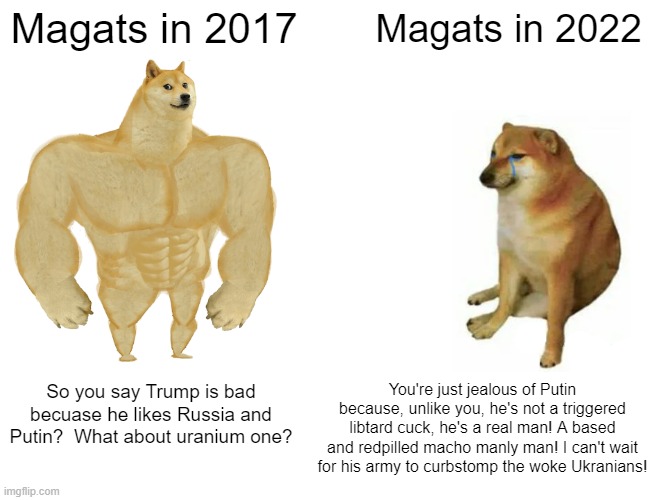 Buff Doge vs. Cheems Meme | Magats in 2017 Magats in 2022 So you say Trump is bad becuase he likes Russia and Putin?  What about uranium one? You're just jealous of Put | image tagged in memes,buff doge vs cheems | made w/ Imgflip meme maker