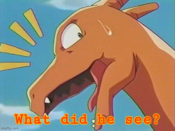 Shocked charizard | What did he see? | image tagged in shocked charizard | made w/ Imgflip meme maker