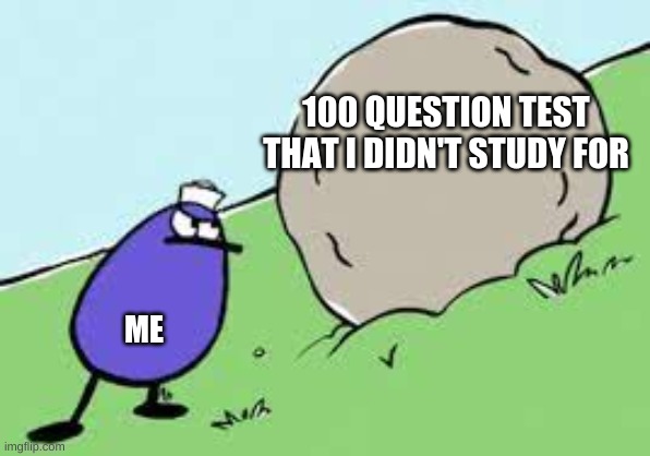 Quack and the rock | 100 QUESTION TEST THAT I DIDN'T STUDY FOR; ME | image tagged in quack and the rock,peep and the big wide world,quack,rock,hill | made w/ Imgflip meme maker