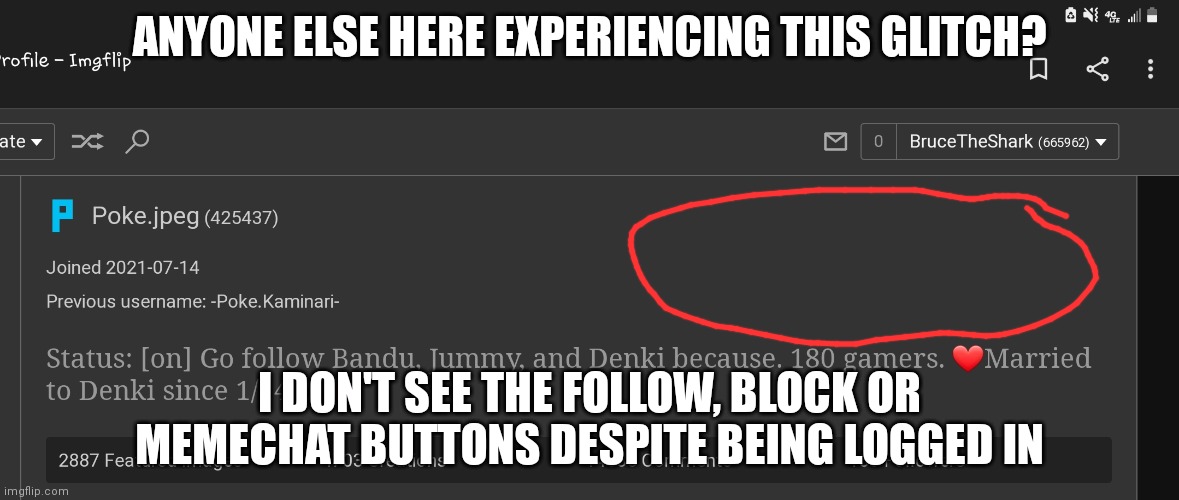 Anyone else experiencing this glitch? | ANYONE ELSE HERE EXPERIENCING THIS GLITCH? I DON'T SEE THE FOLLOW, BLOCK OR MEMECHAT BUTTONS DESPITE BEING LOGGED IN | image tagged in glitch | made w/ Imgflip meme maker
