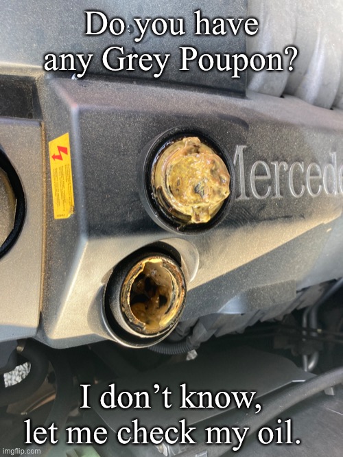 Grey Poupon | Do you have any Grey Poupon? I don’t know, let me check my oil. | image tagged in oil | made w/ Imgflip meme maker