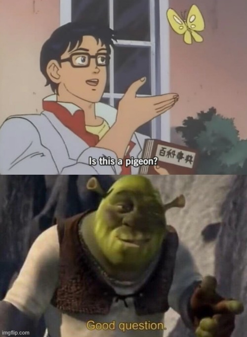 Well is It? | image tagged in shrek good question | made w/ Imgflip meme maker