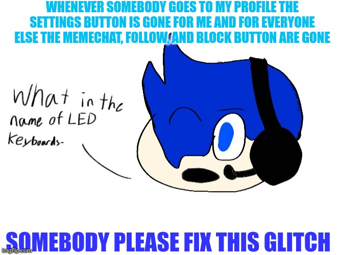 What in the name of LED keyboards- | WHENEVER SOMEBODY GOES TO MY PROFILE THE SETTINGS BUTTON IS GONE FOR ME AND FOR EVERYONE ELSE THE MEMECHAT, FOLLOW, AND BLOCK BUTTON ARE GONE; SOMEBODY PLEASE FIX THIS GLITCH | image tagged in what in the name of led keyboards- | made w/ Imgflip meme maker