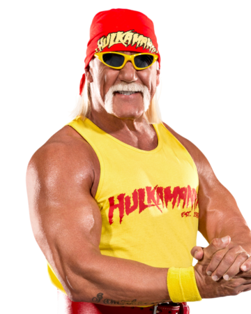 High Quality Hulk Hogan Blank Meme Template