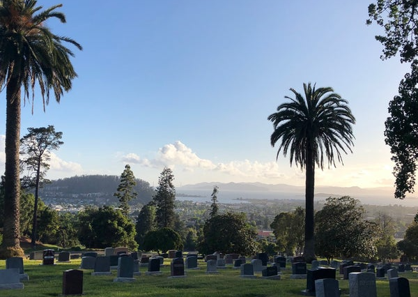 High Quality Sunset View Cemetary, El Cerrito, CA Blank Meme Template