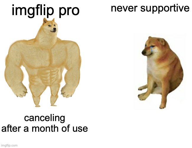 Buff Doge vs. Cheems Meme |  imgflip pro; never supportive; canceling after a month of use | image tagged in memes,buff doge vs cheems | made w/ Imgflip meme maker