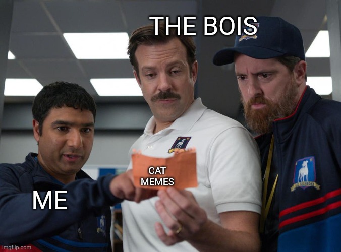 THE BOIS; CAT MEMES; ME | image tagged in funny memes,cats | made w/ Imgflip meme maker