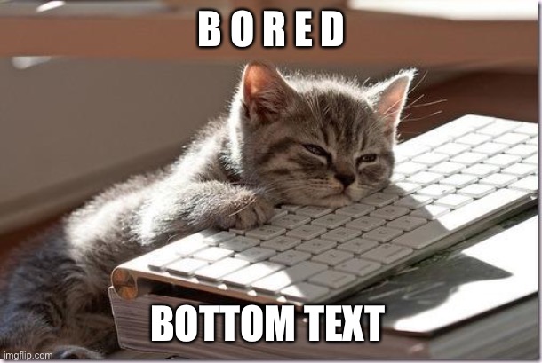 *screech* | B O R E D; BOTTOM TEXT | image tagged in bored keyboard cat | made w/ Imgflip meme maker