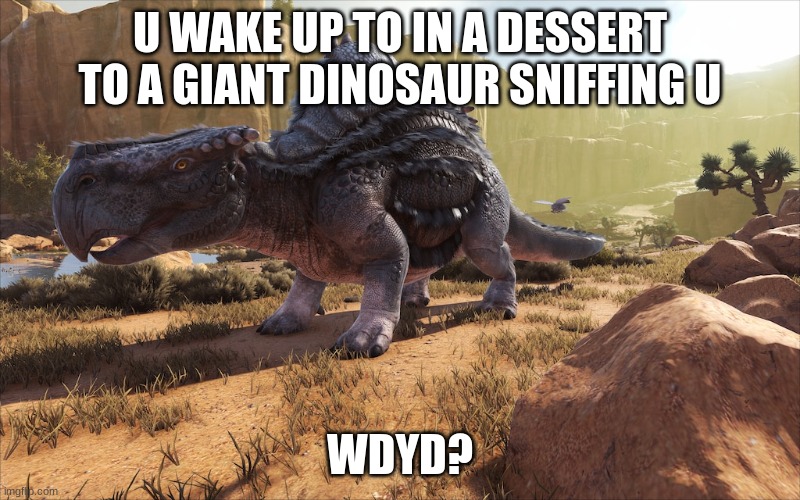 u have to escape the dessert (if u kill the dino then ur stuck) | U WAKE UP TO IN A DESSERT TO A GIANT DINOSAUR SNIFFING U; WDYD? | image tagged in roleplay,dinosaur,dessert | made w/ Imgflip meme maker