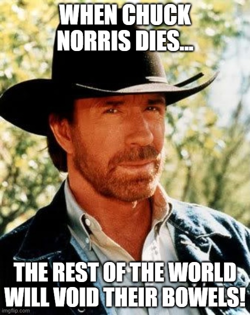 No Embarassment Here | WHEN CHUCK NORRIS DIES... THE REST OF THE WORLD WILL VOID THEIR BOWELS! | image tagged in memes,chuck norris | made w/ Imgflip meme maker