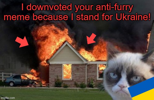 Burn Kitty Meme | I downvoted your anti-furry meme because I stand for Ukraine! | image tagged in memes,burn kitty,grumpy cat | made w/ Imgflip meme maker