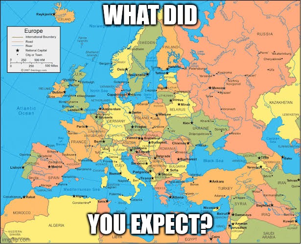 WHAT DID; YOU EXPECT? | made w/ Imgflip meme maker