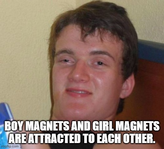 10 Guy | BOY MAGNETS AND GIRL MAGNETS ARE ATTRACTED TO EACH OTHER. | image tagged in memes,10 guy | made w/ Imgflip meme maker