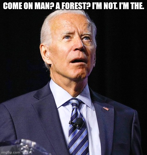 Joe Biden | COME ON MAN? A FOREST? I'M NOT. I'M THE. | image tagged in joe biden | made w/ Imgflip meme maker