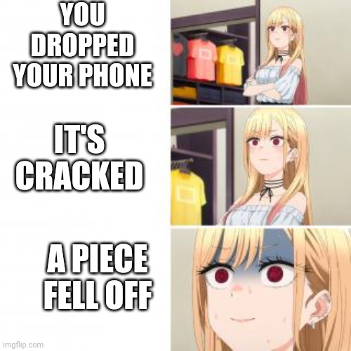 Marin Paniks | YOU DROPPED YOUR PHONE; IT'S CRACKED; A PIECE FELL OFF | image tagged in anime meme | made w/ Imgflip meme maker