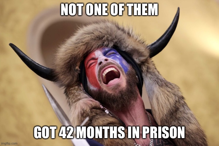 Horned Guy Protestor Scream | NOT ONE OF THEM GOT 42 MONTHS IN PRISON | image tagged in horned guy protestor scream | made w/ Imgflip meme maker
