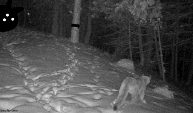We finally found the source of the "black vines" and decrease in wildlife. | made w/ Imgflip meme maker