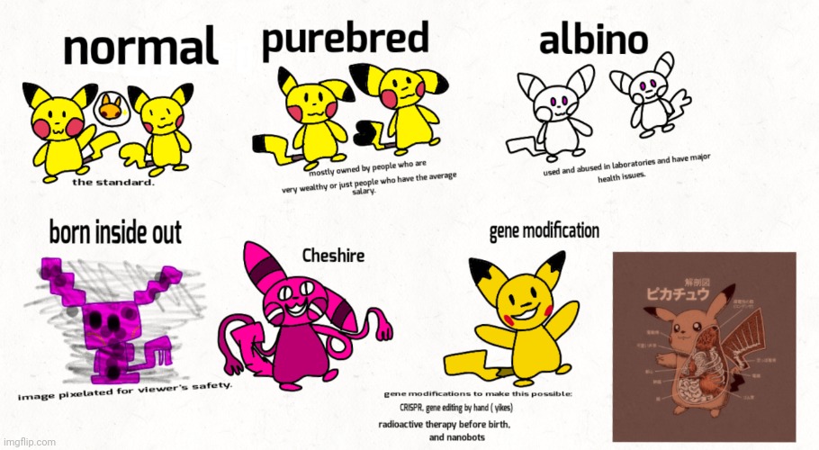 The pikachu guide chart | image tagged in special information about living organisms | made w/ Imgflip meme maker