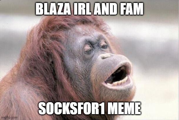 Monkey OOH Meme | BLAZA IRL AND FAM; SOCKSFOR1 MEME | image tagged in memes,monkey ooh | made w/ Imgflip meme maker