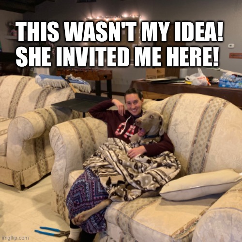 Caught on the couch | THIS WASN'T MY IDEA!
SHE INVITED ME HERE! | image tagged in dog,weimaraner,funny,couch,caught | made w/ Imgflip meme maker