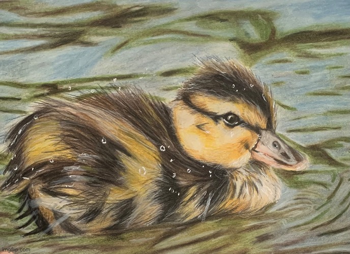 10h duck drawing from last year (This was my first animal portrait with colored pencils) | image tagged in drawing,drawings | made w/ Imgflip meme maker