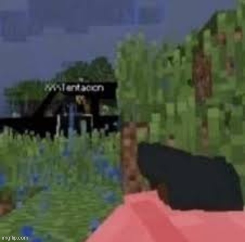 . | image tagged in xxxtentacion,minecraft | made w/ Imgflip meme maker