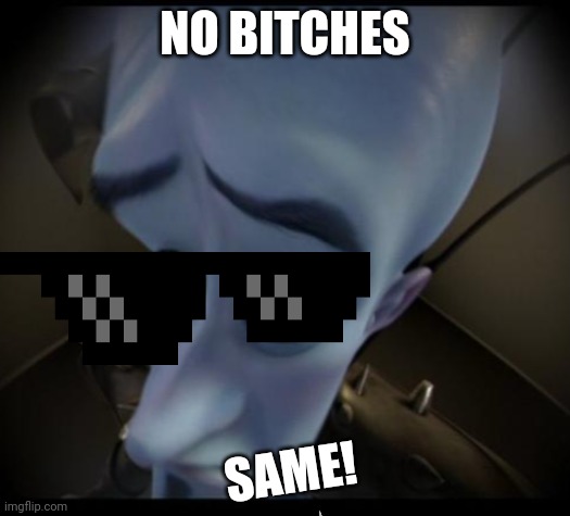 Megamind peeking | NO BITCHES; SAME! | image tagged in no bitches | made w/ Imgflip meme maker
