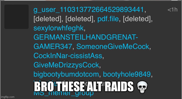 BRO THESE ALT RAIDS 💀 | made w/ Imgflip meme maker