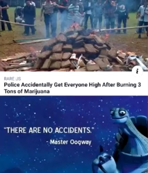 image tagged in memes | made w/ Imgflip meme maker