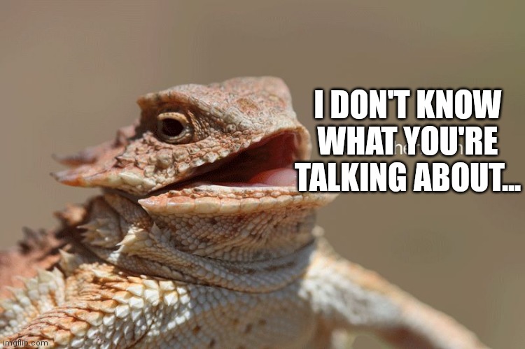 laughing lizard | I DON'T KNOW WHAT YOU'RE TALKING ABOUT... | image tagged in laughing lizard | made w/ Imgflip meme maker
