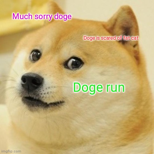 Doge Meme | Much sorry doge Doge is scared of fat cat Doge run | image tagged in memes,doge | made w/ Imgflip meme maker