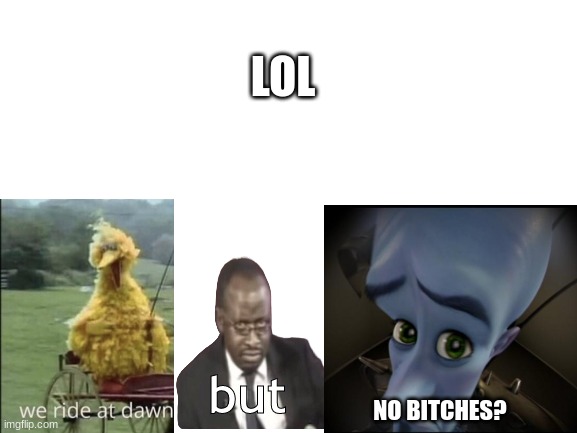 Blank White Template | LOL; but; NO BITCHES? | image tagged in blank white template | made w/ Imgflip meme maker