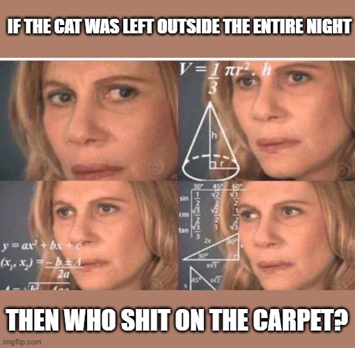 Math lady/Confused lady | IF THE CAT WAS LEFT OUTSIDE THE ENTIRE NIGHT; THEN WHO SHIT ON THE CARPET? | image tagged in math lady/confused lady | made w/ Imgflip meme maker