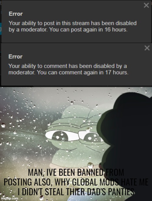 MAN, IVE BEEN BANNED FROM POSTING ALSO, WHY GLOBAL MODS HATE ME
I DIDN'T STEAL THIER DAD'S PANTIES | image tagged in sad frog pepe | made w/ Imgflip meme maker